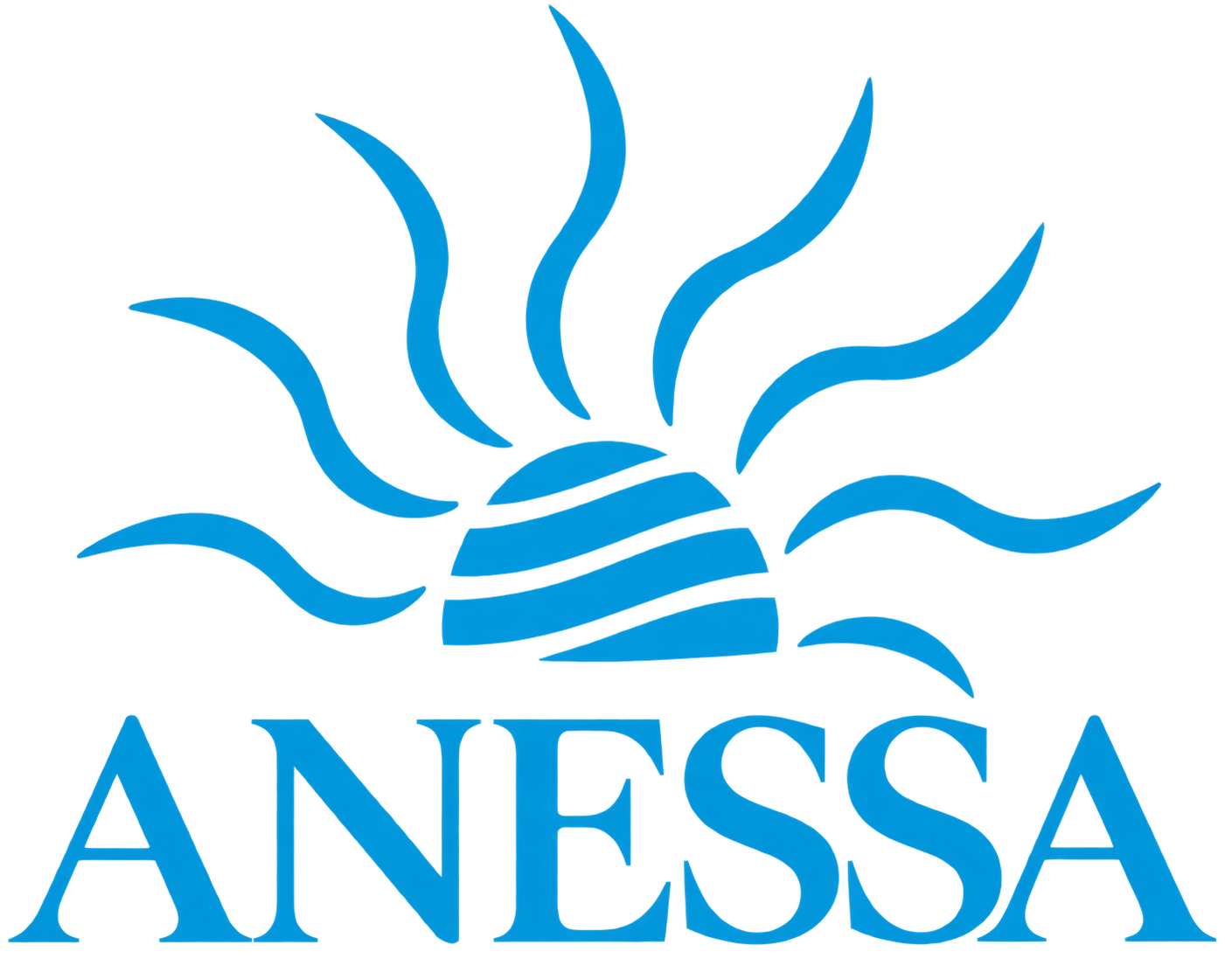 Anessa Sunscreen logo